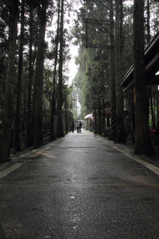 http://i.dcview.tw/gallery/201103/652618919fe9d5450a3ed0f0e72b91f1.jpg