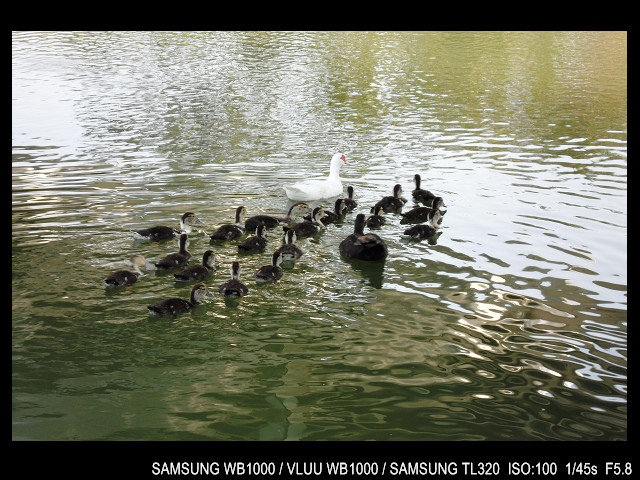 http://i.dcview.tw/gallery/201103/65c38d6c4b3a5a7ab8c1c48eb3760770.jpg