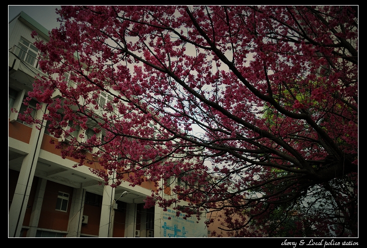 http://i.dcview.tw/gallery/201103/67599ba76a8b1048013525247a134643.jpg