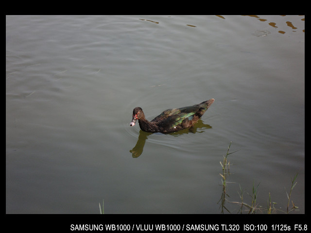 http://i.dcview.tw/gallery/201103/67879b0945c782b6b13b226b10d79087.jpg