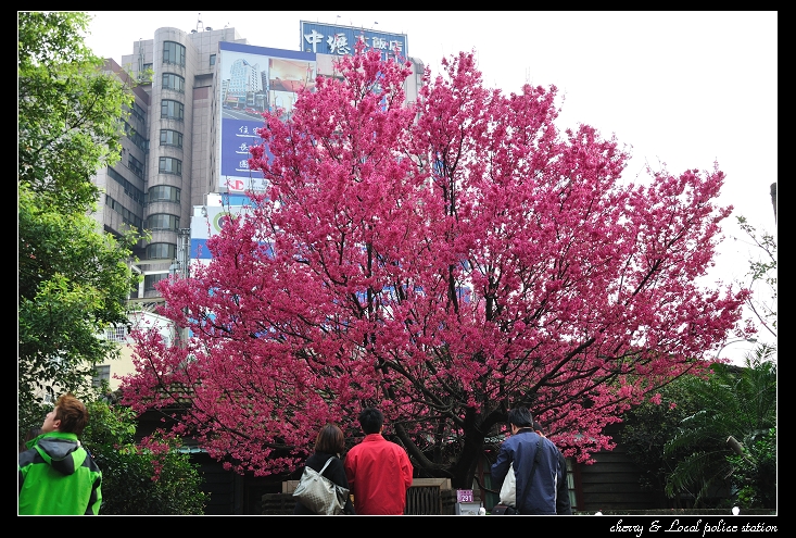 http://i.dcview.tw/gallery/201103/698e2b0492c3606d4f65199aafc30c43.jpg