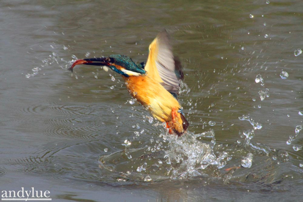 http://i.dcview.tw/gallery/201103/6a7746fedd7fdf0af45db9864ca058fb.jpg