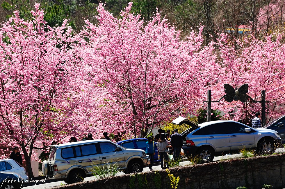 http://i.dcview.tw/gallery/201103/6cd17fe4162ed2f68426c49ddf6a7d21.jpg