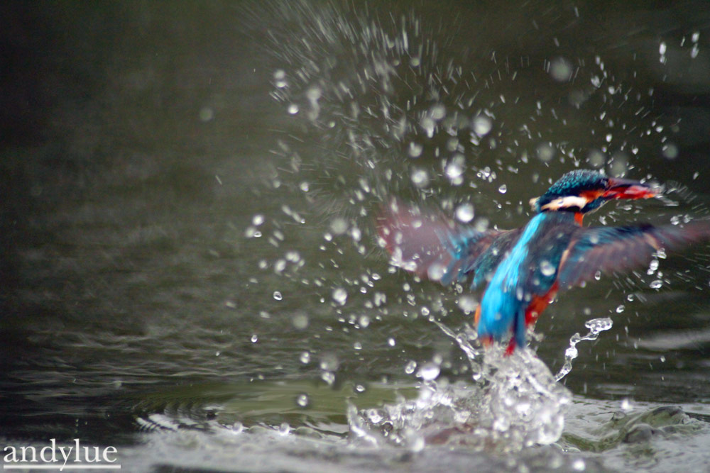 http://i.dcview.tw/gallery/201103/6d69deef81e29405b4c32301b125d143.jpg