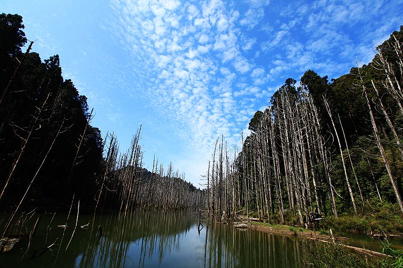 http://i.dcview.tw/gallery/201103/6d86a9b0a4ce802fb3a55a876baae8ba.jpg