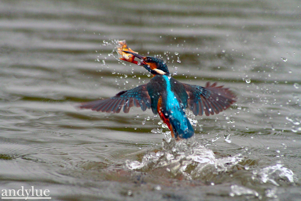 http://i.dcview.tw/gallery/201103/6df8b8f3436c03396deb750c30e9327d.jpg