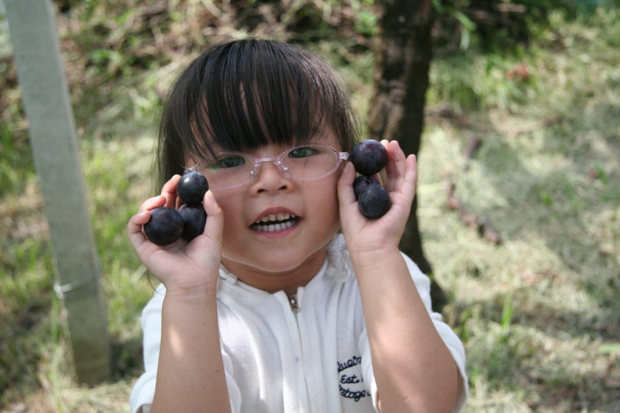 http://i.dcview.tw/gallery/201103/6f283136493aa9ad5be67865d402efc4.jpg