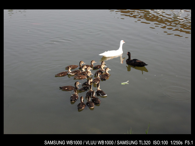 http://i.dcview.tw/gallery/201103/71c62bc48a182412fb4198beee0df0a0.jpg