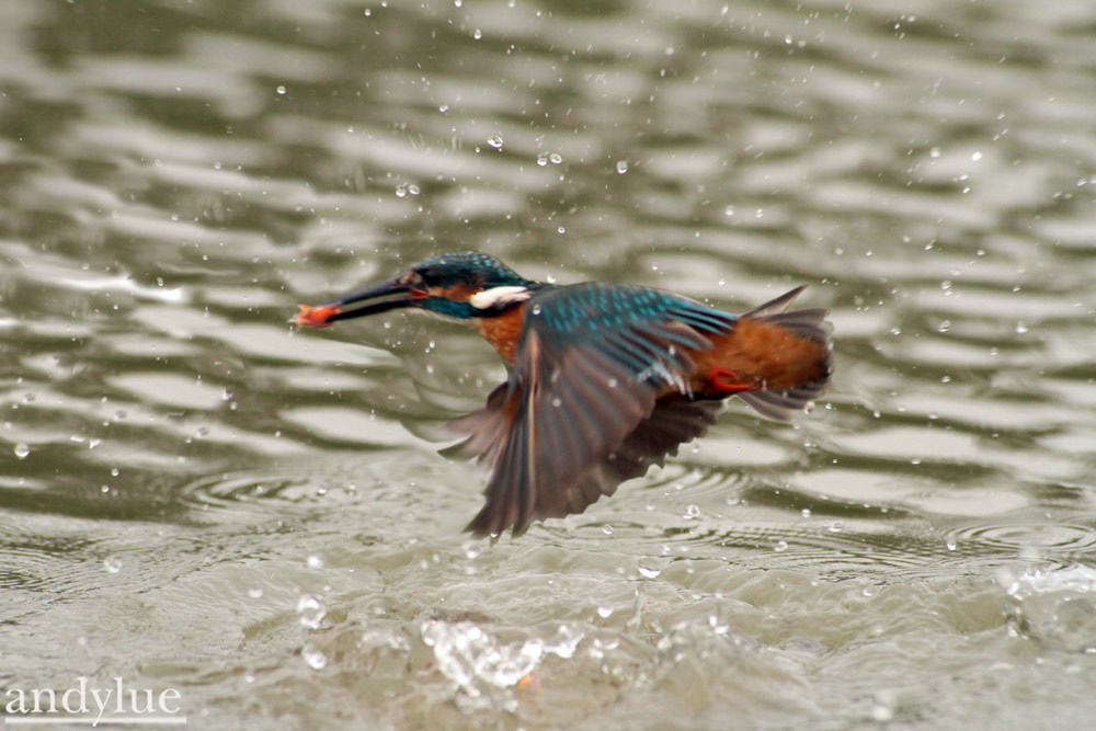 http://i.dcview.tw/gallery/201103/72f14cdf6caeaeee3db7392e1e0778d2.jpg