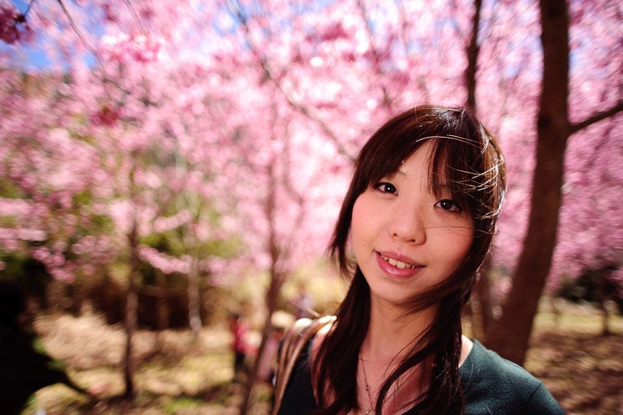 http://i.dcview.tw/gallery/201103/7799b0835c3cf8897b0144ed6a7d476c.jpg