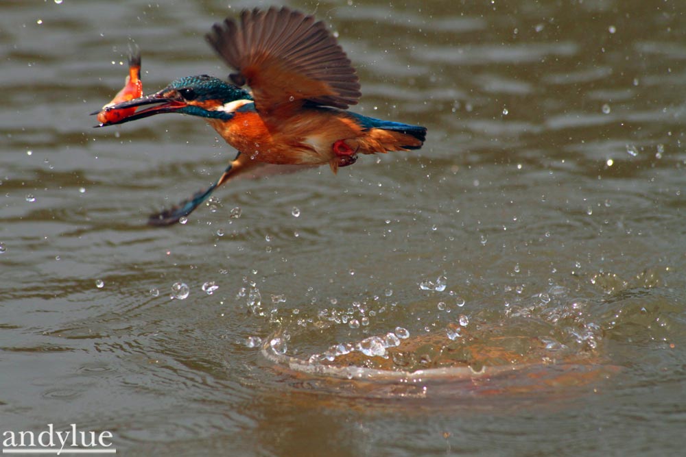http://i.dcview.tw/gallery/201103/79382205d10f7291d3984286012cd9e3.jpg