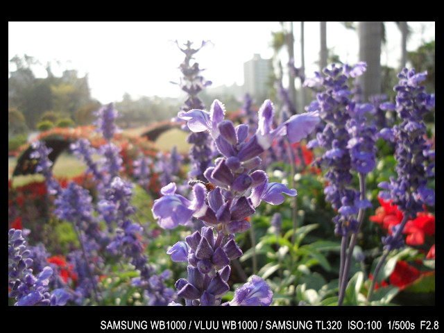 http://i.dcview.tw/gallery/201103/7a53008a8f257b2b774282ce88a50e55.jpg