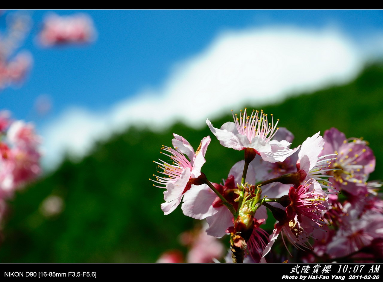 http://i.dcview.tw/gallery/201103/7ca25bbdfe3c344c1e7f9ddf97cd191a.jpg