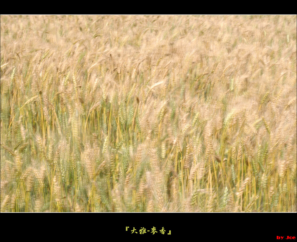 http://i.dcview.tw/gallery/201103/7d11c357e7ccb4eac38c69f67934312b.jpg