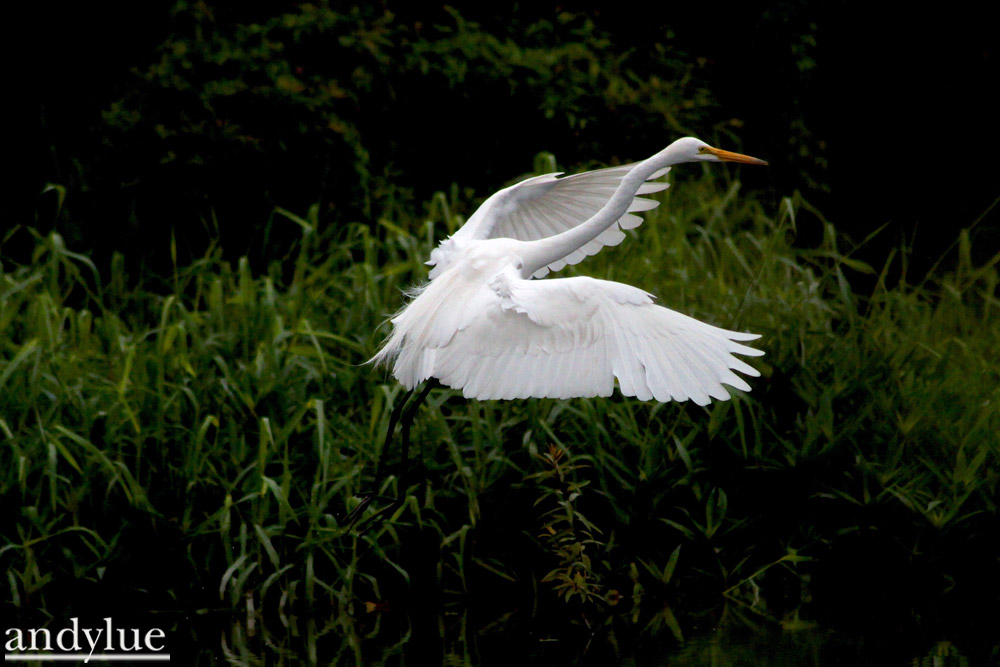 http://i.dcview.tw/gallery/201103/7eca1840ca7acf72a2093815e9c9129a.jpg