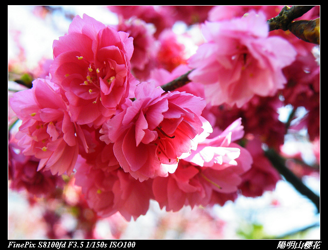 http://i.dcview.tw/gallery/201103/7fd4fde67113728cba873c1a371eb58a.jpg