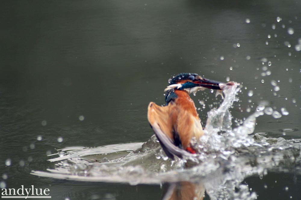 http://i.dcview.tw/gallery/201103/809dcd67b94e201dc250ad7422e2043e.jpg
