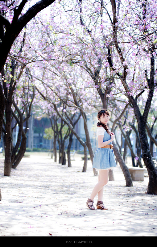http://i.dcview.tw/gallery/201103/80ae034dc4e380d92c814bd7489e807f.jpg