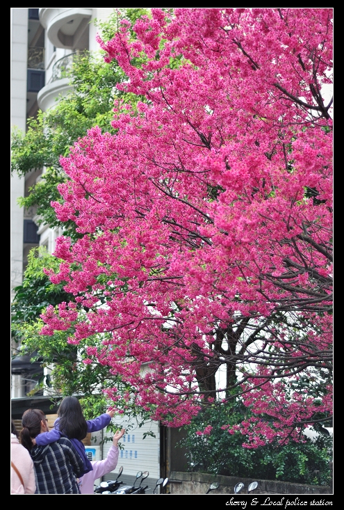 http://i.dcview.tw/gallery/201103/80c874f74850d00a754670dd16532320.jpg