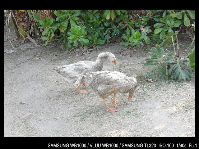 http://i.dcview.tw/gallery/201103/84e2a9c7f5821dcf69af3e6421ca0ea9.jpg