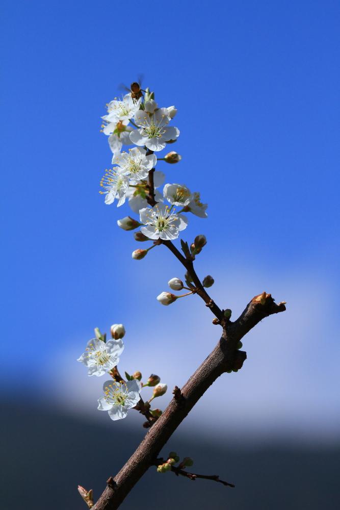 http://i.dcview.tw/gallery/201103/862fb1ef7114503eeca7d4872cc53d06.jpg
