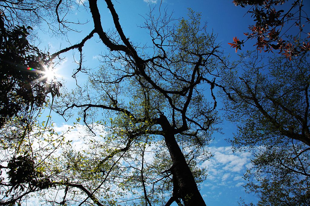 http://i.dcview.tw/gallery/201103/86400c9da598158f1555b2347cbf9cc0.jpg