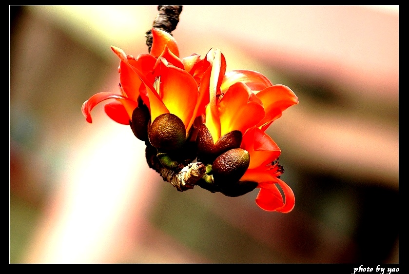 http://i.dcview.tw/gallery/201103/864d41ca664211f005e5d9c94127229f.jpg