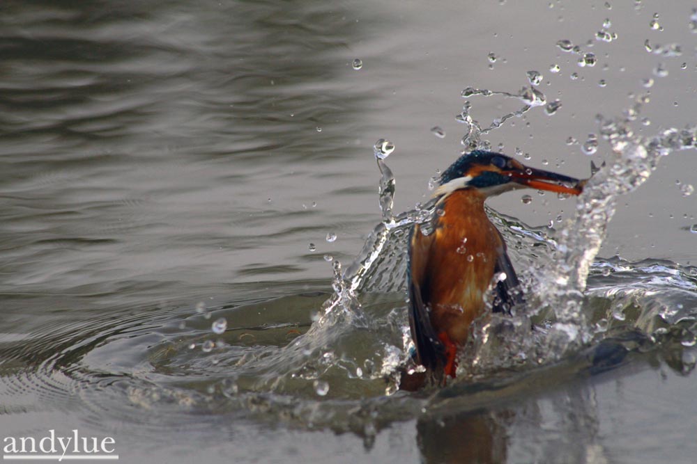 http://i.dcview.tw/gallery/201103/8be566143a0c17ced04ac42eb14f74bd.jpg