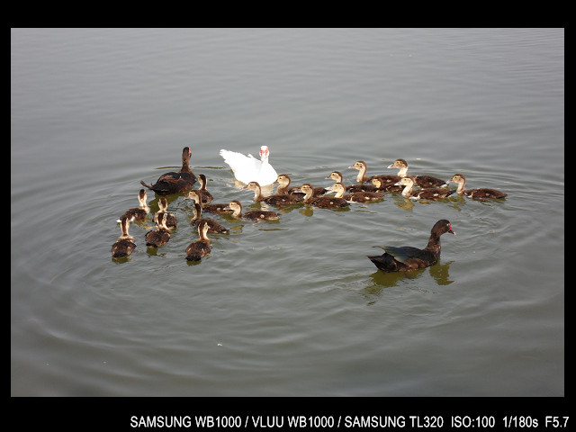 http://i.dcview.tw/gallery/201103/9479e149fcba49398d85479dc9d05ad9.jpg