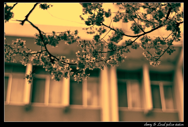 http://i.dcview.tw/gallery/201103/a0f337fdc2f4cd23fd215e7a62f2f581.jpg