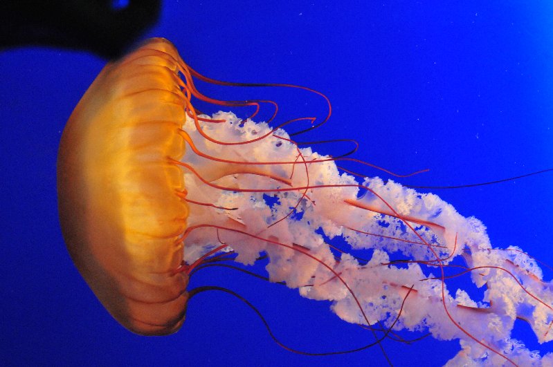 http://i.dcview.tw/gallery/201103/a3cf1e5dfa099fc7d6effc44904004e6.jpg