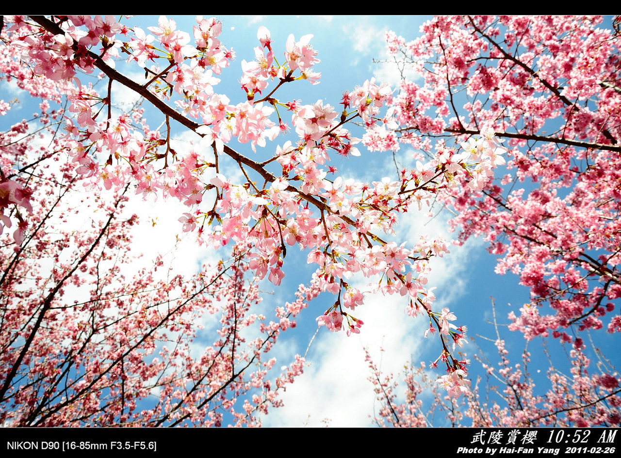 http://i.dcview.tw/gallery/201103/a79330646695d3a5122eb7fd1fe22bef.jpg