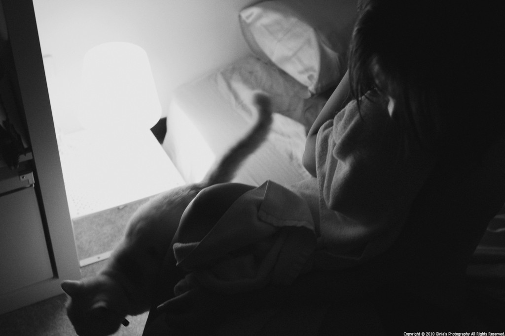 http://i.dcview.tw/gallery/201103/a7b12ab0022678c2bde5c51c85a2ad08.jpg