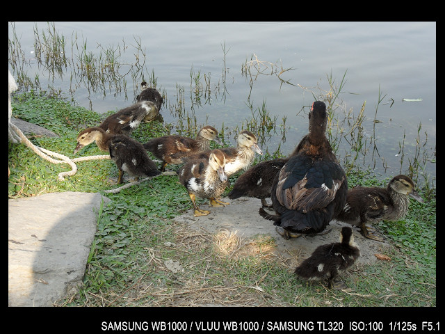 http://i.dcview.tw/gallery/201103/aa35bf7abd9abb1125c227347f718e8a.jpg