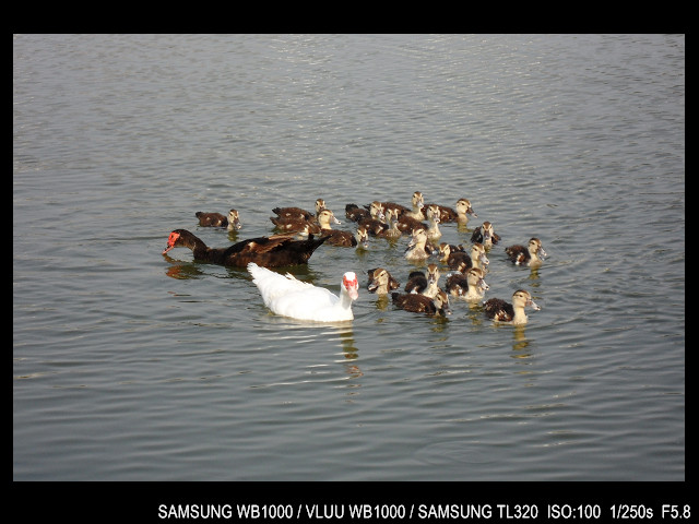 http://i.dcview.tw/gallery/201103/aa7408c505a57ffcd2a2b1ddae5ac8a1.jpg