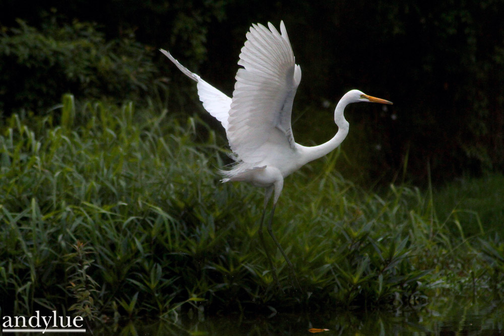 http://i.dcview.tw/gallery/201103/ae5f97214cf6af209acbcd9e18e2e27a.jpg