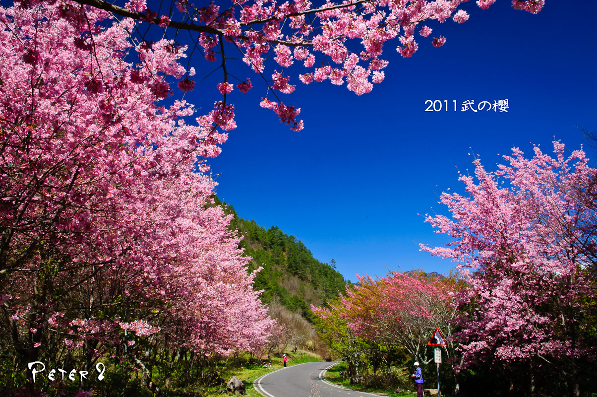 http://i.dcview.tw/gallery/201103/ae9f3ae771ed7476fd0837b3ec172627.jpg