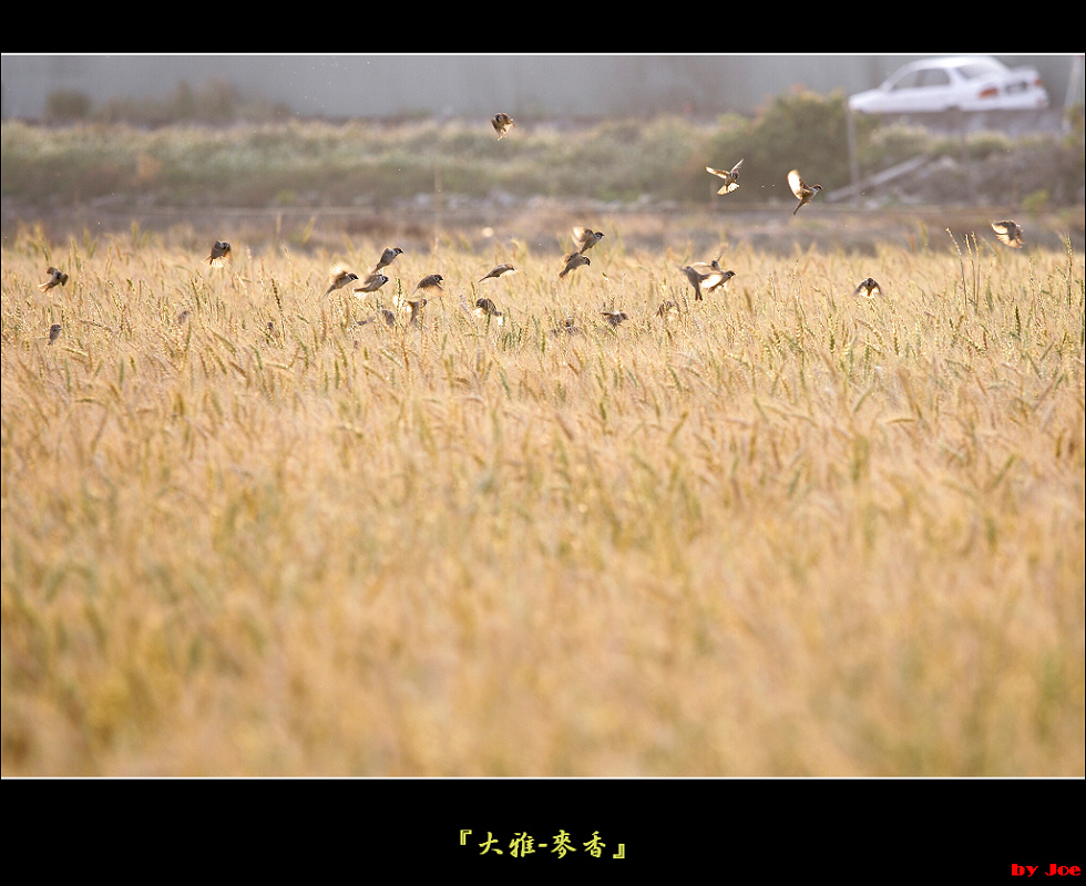 http://i.dcview.tw/gallery/201103/af0ccbc2e613210e30ec904b00839bac.jpg