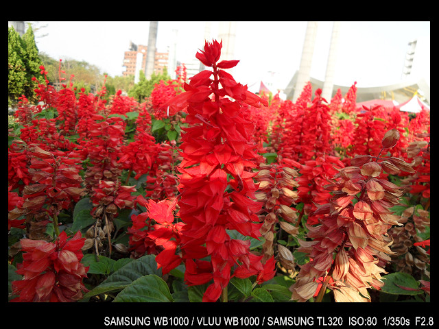 http://i.dcview.tw/gallery/201103/b3e0eecb1a1829b5c4eb14b03a0033c6.jpg
