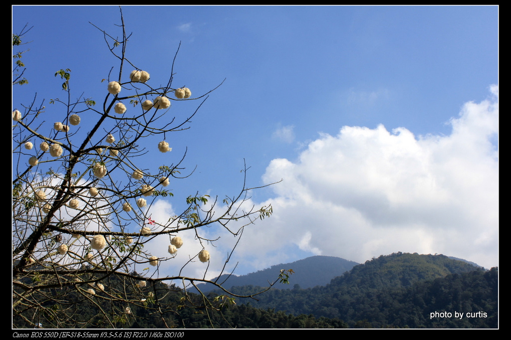 http://i.dcview.tw/gallery/201103/b40c78c92b674659b1914c9166abc08e.jpg