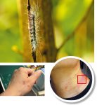 忍者出擊，DIY一頂登山帽