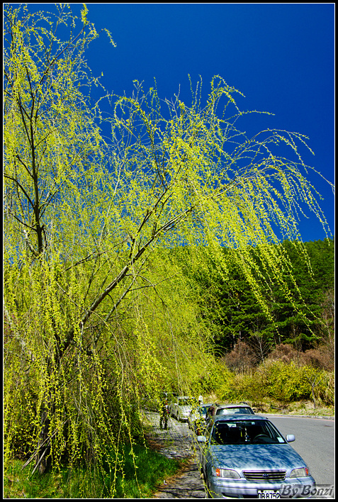 http://i.dcview.tw/gallery/201103/b8dcbf1ff9f01e456fa54aedb9af25e5.jpg