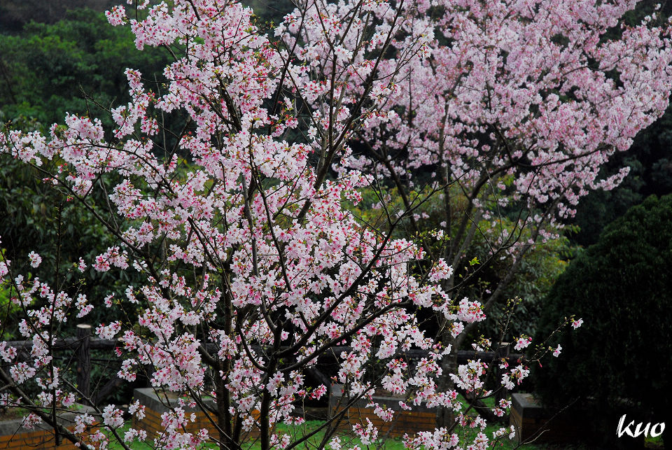 http://i.dcview.tw/gallery/201103/ba8a3e23530bd7a93eb701429b0127ad.jpg
