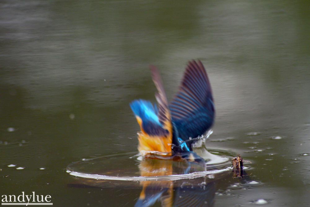 http://i.dcview.tw/gallery/201103/c110317554a669591f4dbcbd4d42901b.jpg