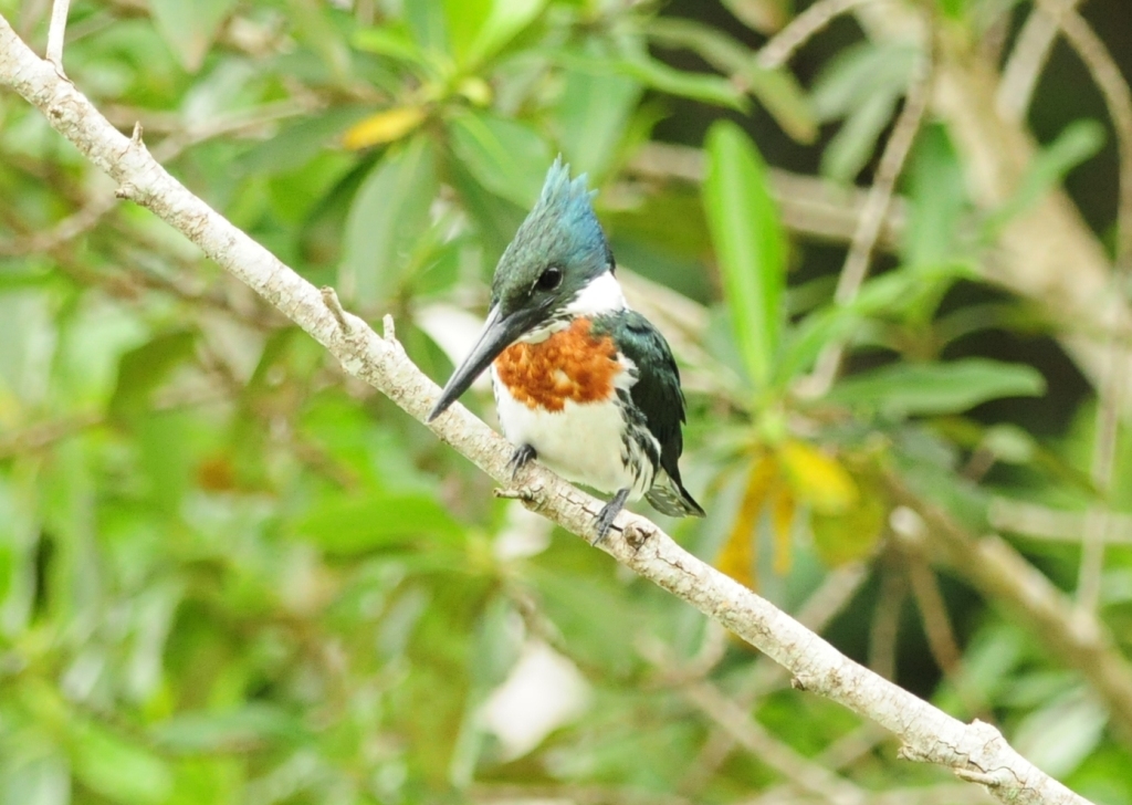 http://i.dcview.tw/gallery/201103/c224116aaa8dee4970b0245c3ed5a607.jpg