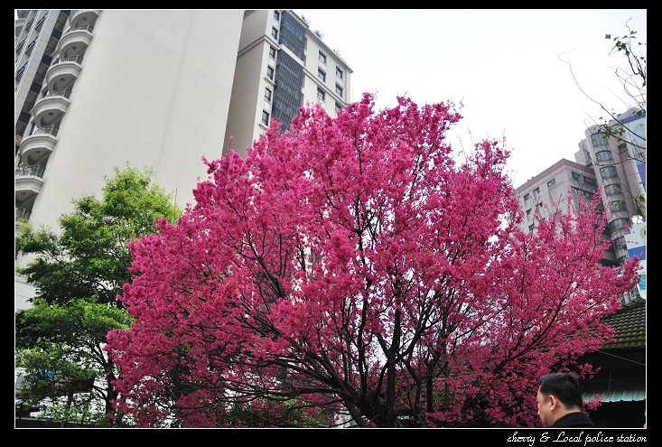 http://i.dcview.tw/gallery/201103/c251f1d50c2b4863a86bbb317a88c46c.jpg