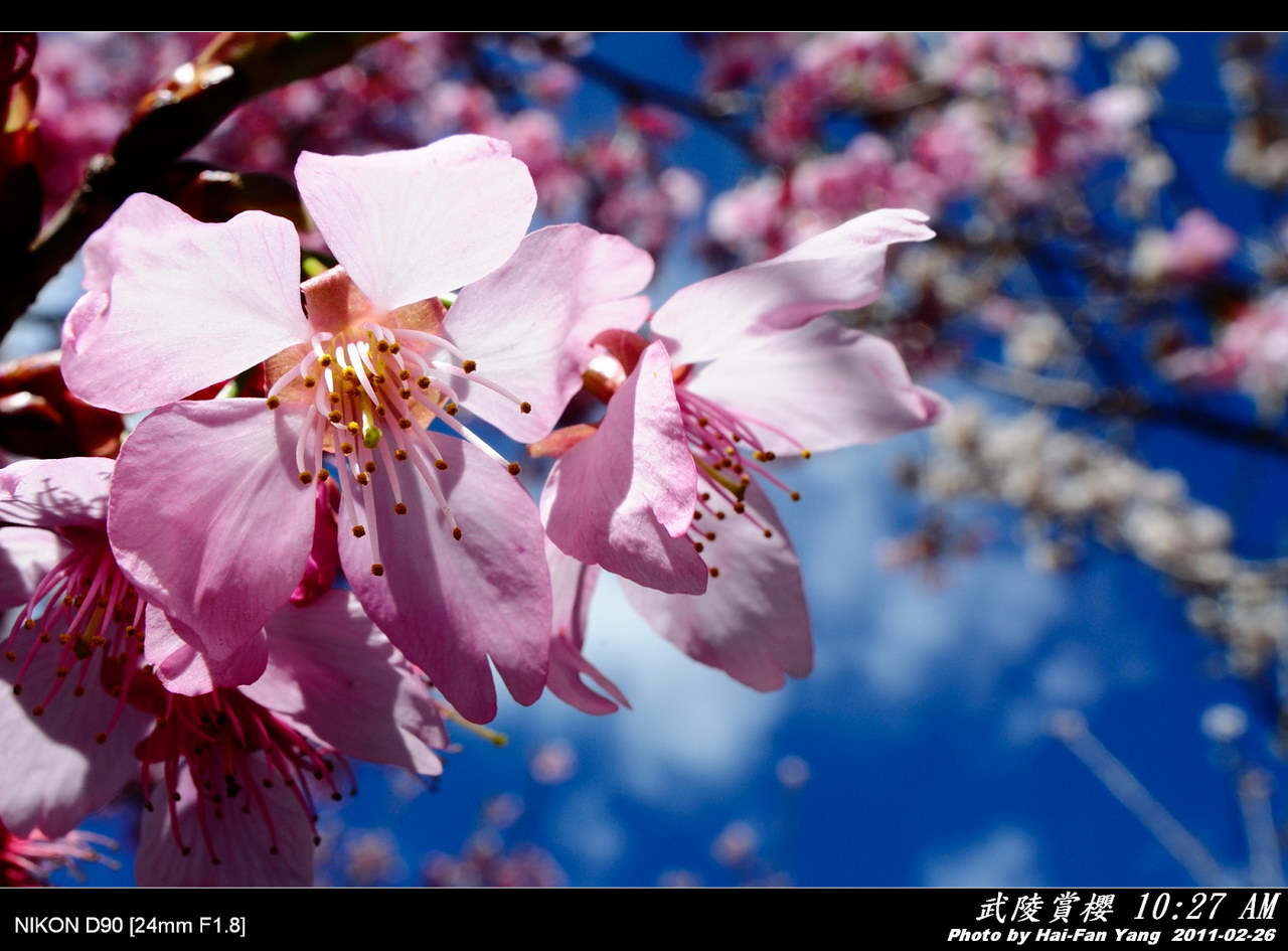 http://i.dcview.tw/gallery/201103/c2bbd0f1cb222054cdaf2ab4db921191.jpg
