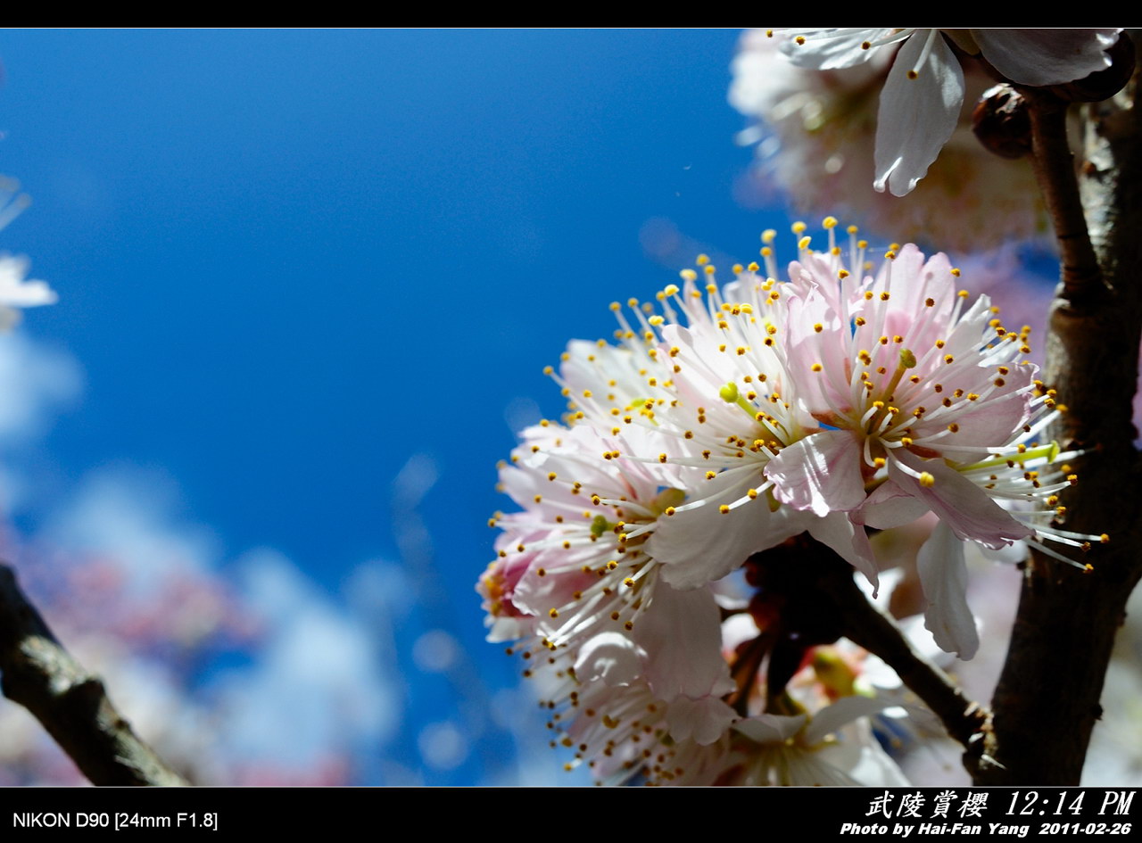 http://i.dcview.tw/gallery/201103/c55961dc4d0265c93f287d73f3020909.jpg