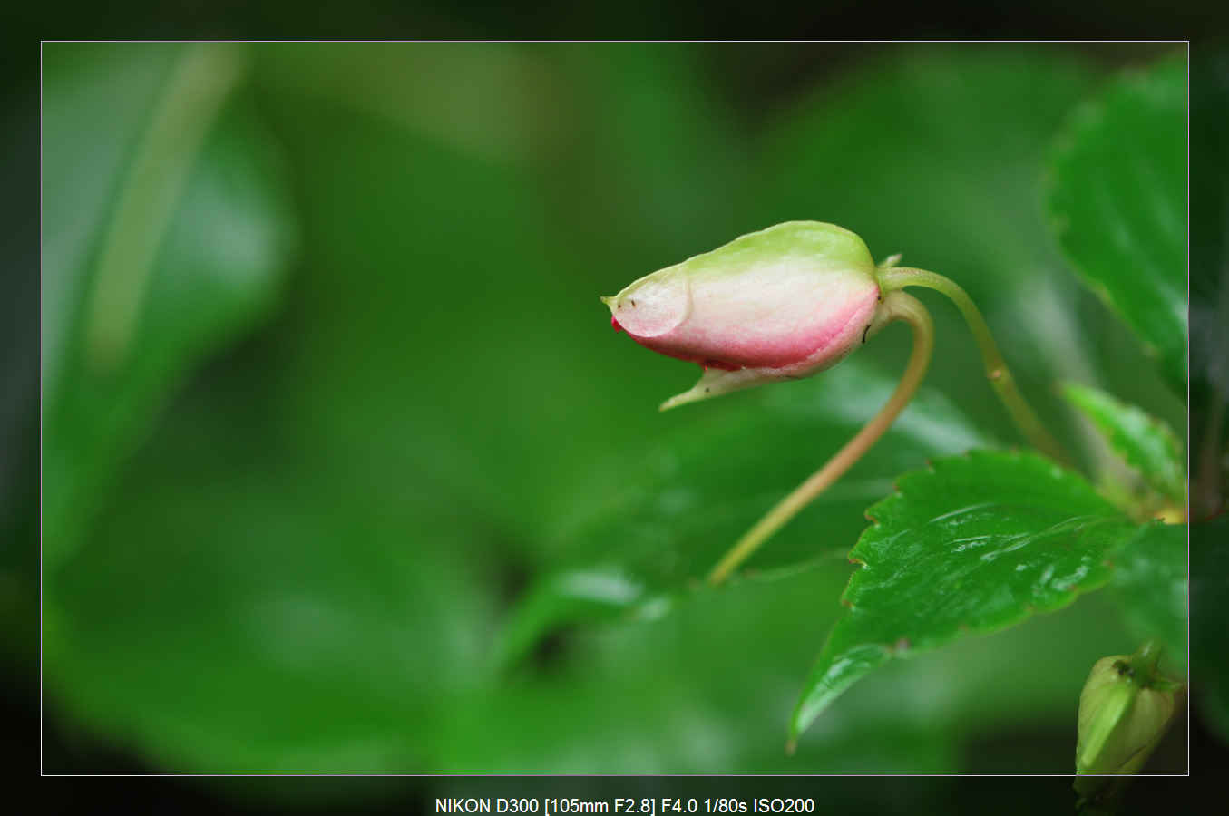 http://i.dcview.tw/gallery/201103/cc07dd7219c39bf93fde001fee1bf6af.jpg