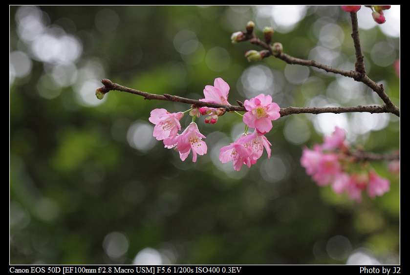 http://i.dcview.tw/gallery/201103/ccb9a3304b5434ae30f8991ceb0c01e7.jpg